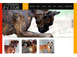Сайт благотворительного фонда помощи собакам