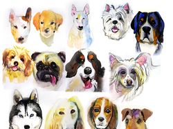Этюды различных пород собак