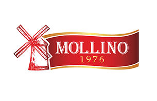 End_Mollino_small.jpg
