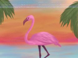 Розовый фламинго и закат