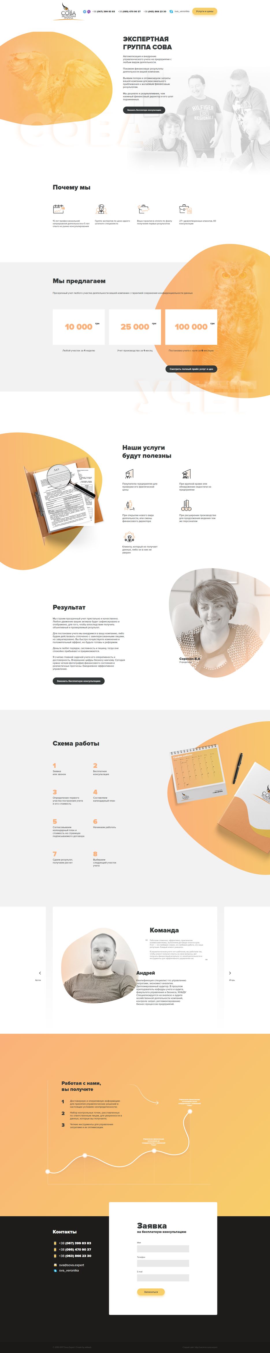FireShot Capture 1 - Sova Expert — Постановка управленческого учета - http___sova.expert_.png