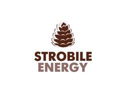 Логотип Strobile Energy