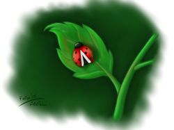 Божья коровка