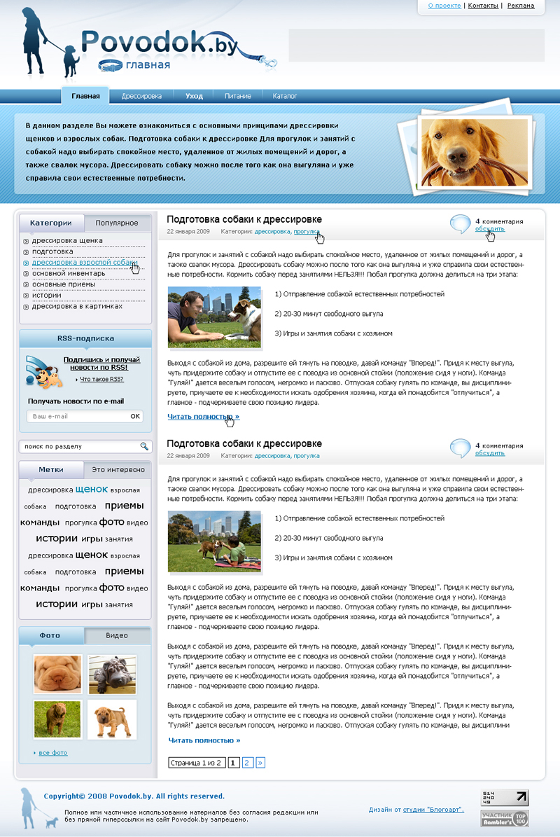 Портал на WordPress 2009.jpg