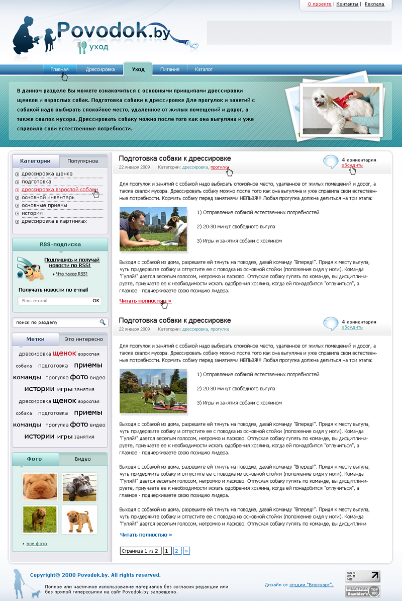 Портал на WordPress 2009.jpg