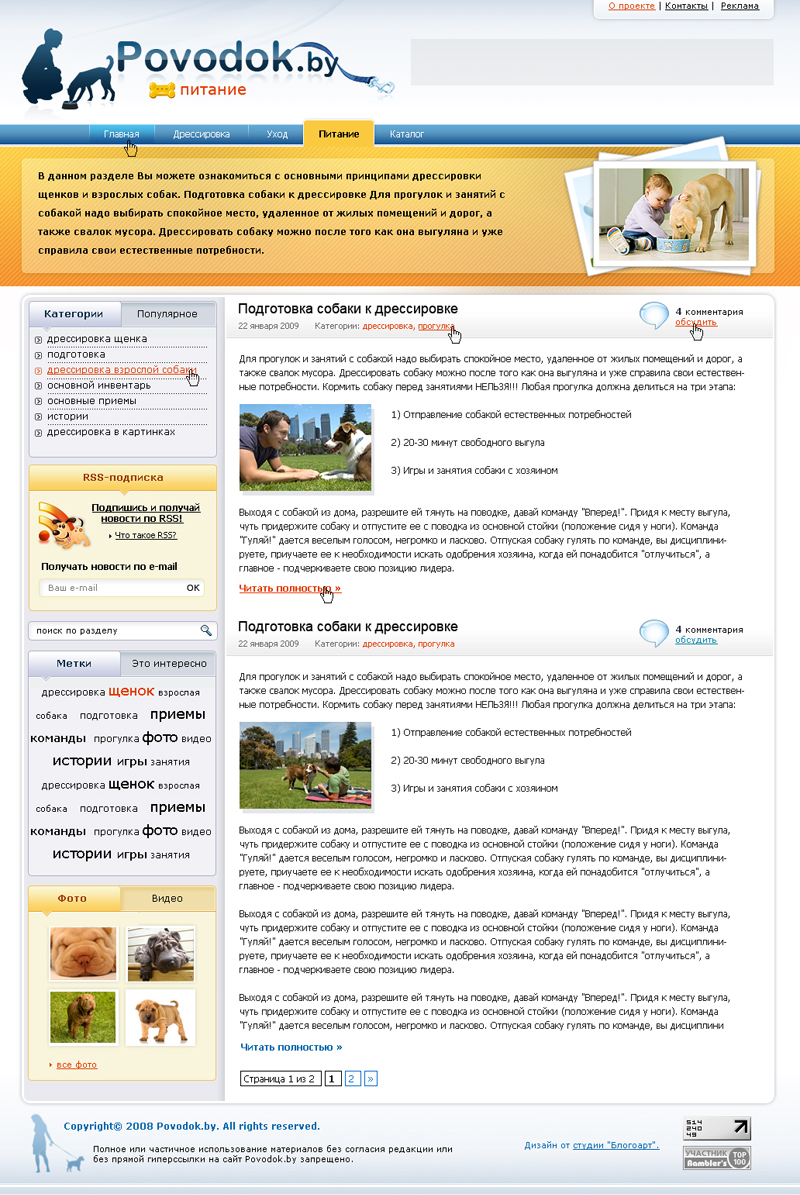 Портал на WordPress 2009.jpg
