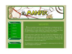 Manfix Systems