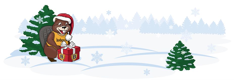 бобрик нг.png