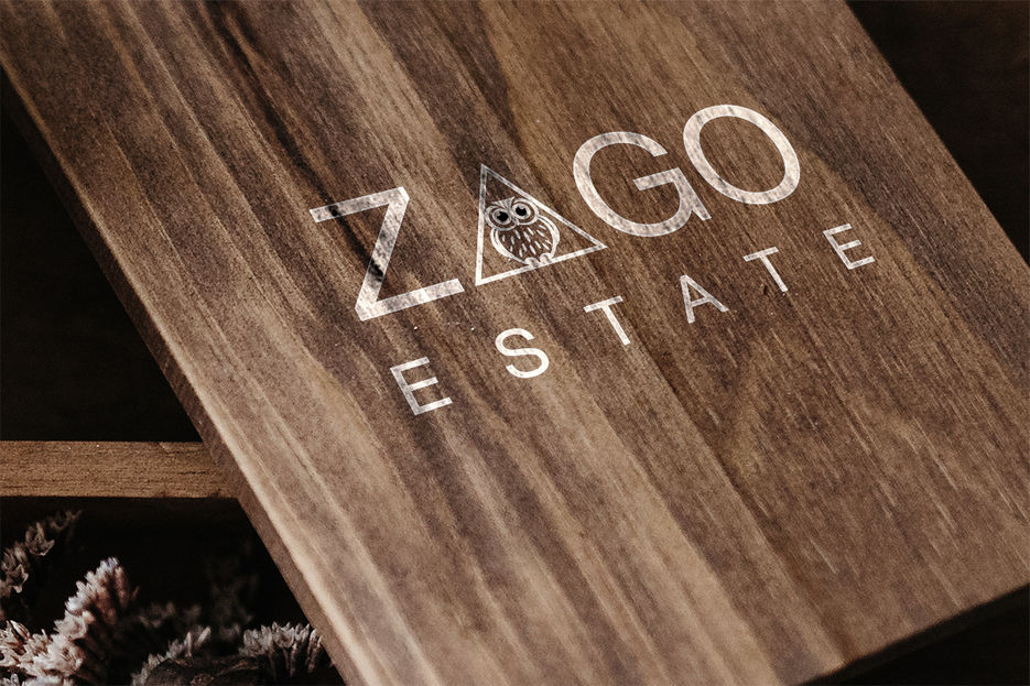 zago 1.jpg