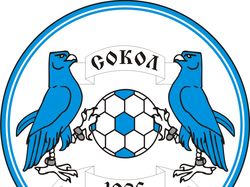Эмблема для команды "Сокол" Сумская обл.