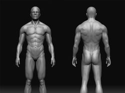 Man_anatomy test