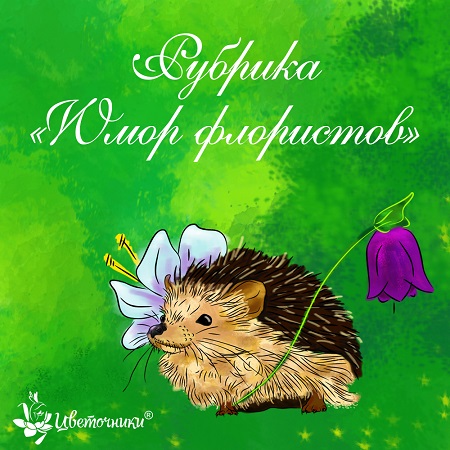 Ежик.jpg