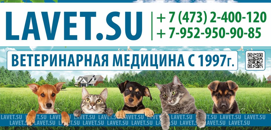 Лавет_баннер_2.jpg