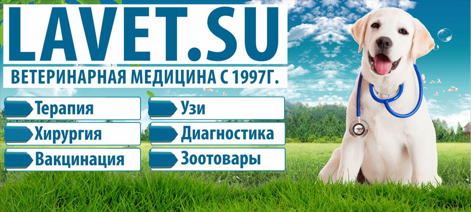 Лавет_баннер_образец_2_2.jpg