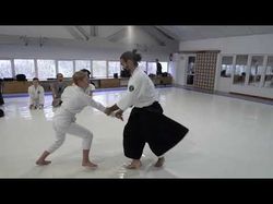 Aikido Master Class in Kiev / Guillermo Gomez 2017
