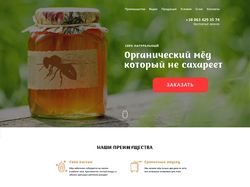Дизайн landing page по продаже мёда.