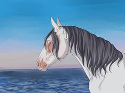 Лошадь у моря
