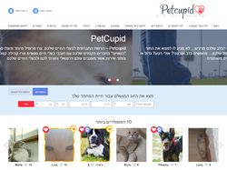 Натяжка и верста на Wordpress Petcupid