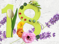 Баннеры для  vifstyle.com.ua