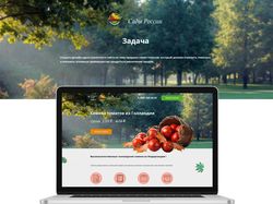 Создание дизайна сайта по продажа семян томатов