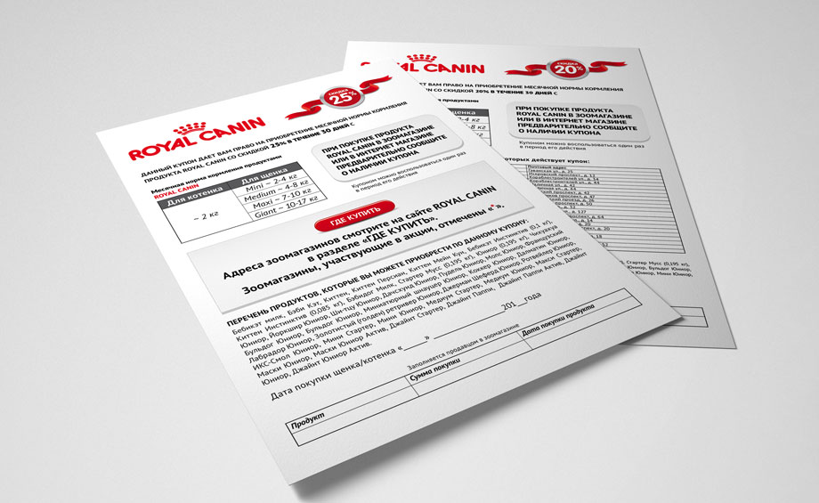 RC-Flyer.jpg