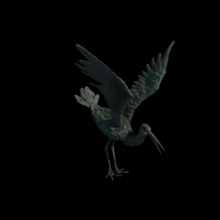 stork_001.jpg