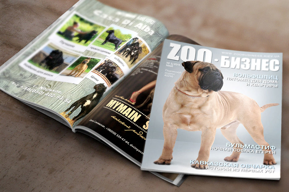 MagazineMockupzoo.jpg
