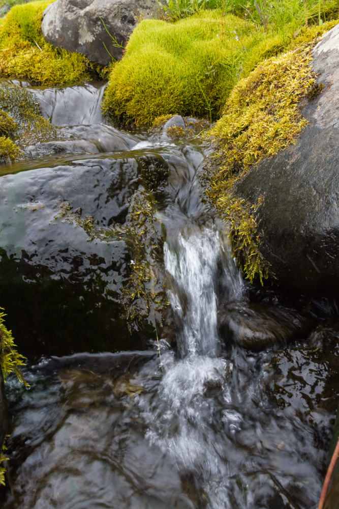 _MG_5628.jpg