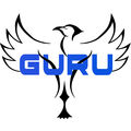 Guru_IT_Company