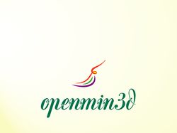 Openmin3d