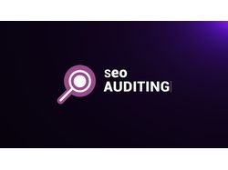 Intro for Seo Auditing
