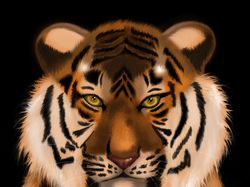 Иллюстрация Тигр