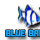 BlueBarbus