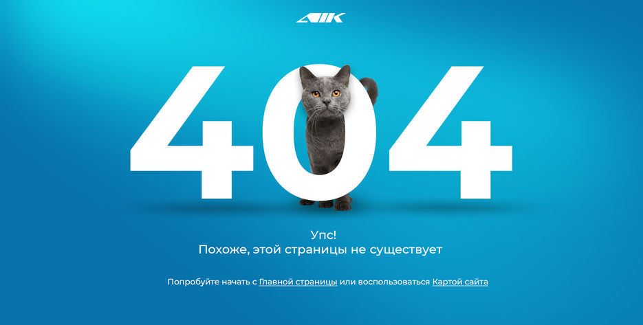 404 cat.jpg