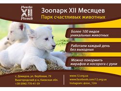 Рекламный макет для зоопарка XII Месяцев