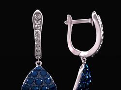 Earrings jewelry