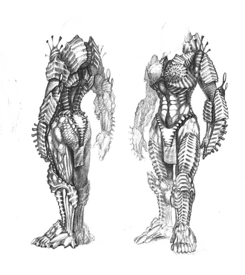 Морской конёк.jpg