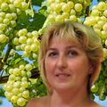 Stasova