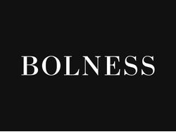 2017. Интернет магазин «Bolness»