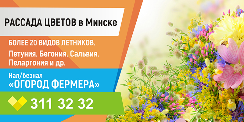 Владимир 3х6_цветы-1.jpg