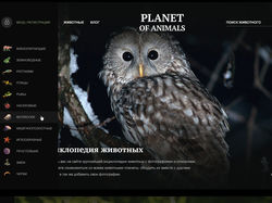 Planet of Animals