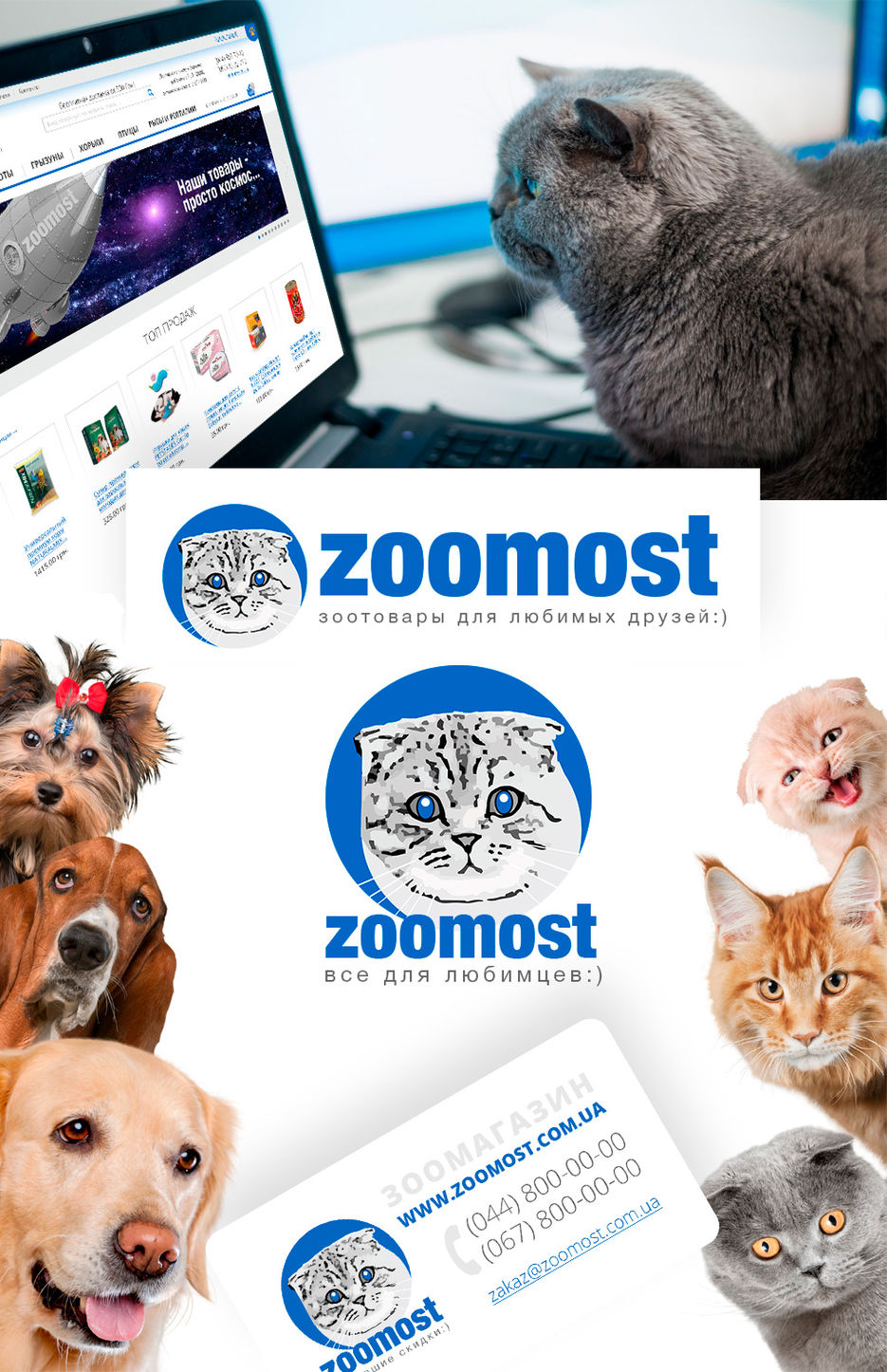 zoo-1.jpg