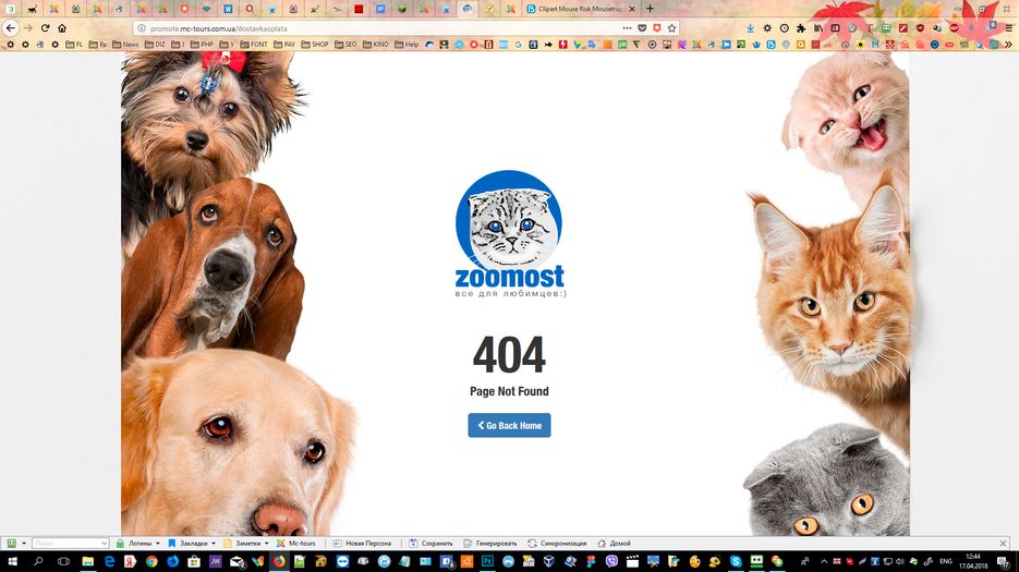 404.png