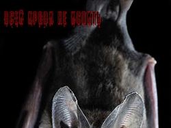 бэтмэн-вампир