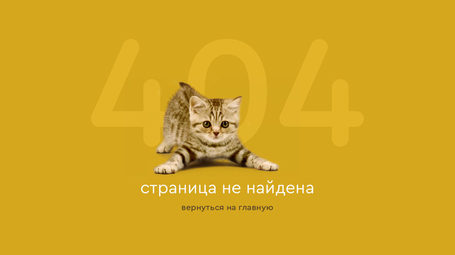 404.jpg