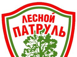 Лого для волонтерской организации