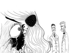 Шпионка. Иллюстрации для романа "Честь имею!"