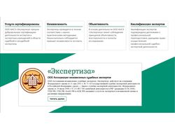 Проект expertus96.ru