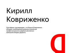 Настройка Яндекс.Директ (в т.ч. РСЯ)