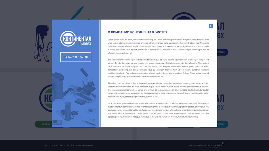 2-hello-site-about-company-21-06.jpg